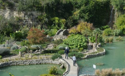 Japanese Tea Gardens