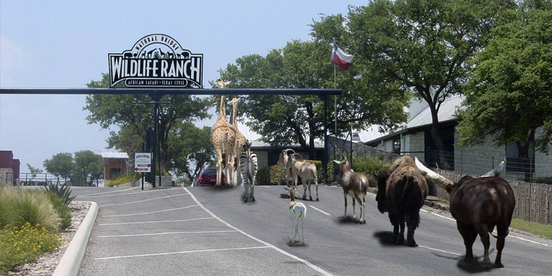 Natural Bridge Wildlife Ranch