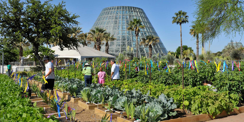 The SA Botanical Garden