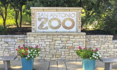 San Antonio Zoo